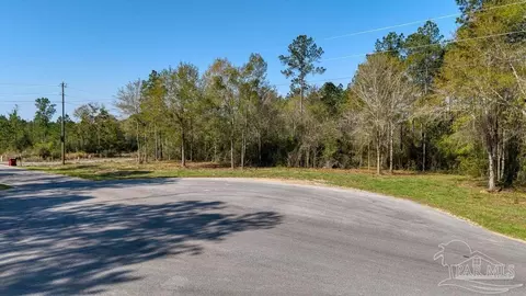 lot42 Buffalo Ridge Rd, Pace, FL 32571 photo 10
