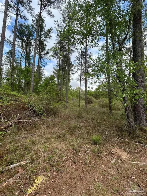 2346 New York St, Jay, FL 32565 photo 3