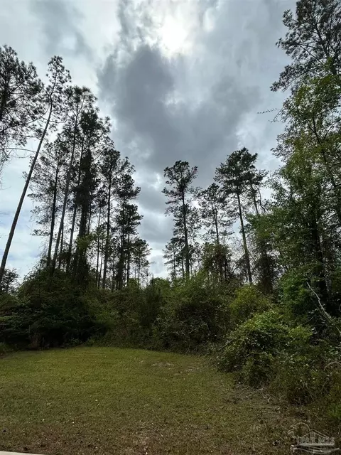 2346 New York St, Jay, FL 32565 photo 4
