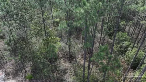 000 Allegro St, Milton, FL 32583 photo 6