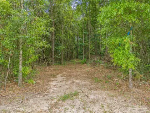 14 Acres Hwy 4, Jay, FL 32565 photo 15