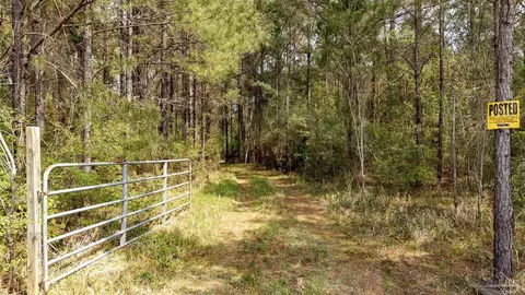 tbd Corley Rd, Walnut Hill, FL 32568 photo 8