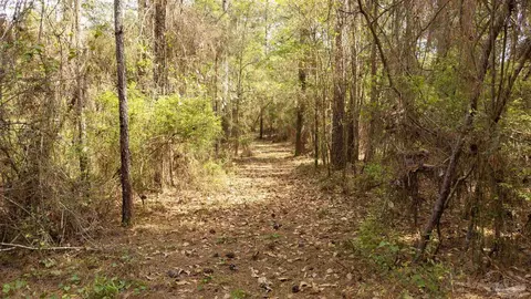 tbd Corley Rd, Walnut Hill, FL 32568 photo 14
