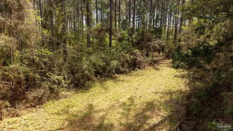 tbd Corley Rd, Walnut Hill, FL 32568 photo 10