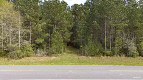 tbd Corley Rd, Walnut Hill, FL 32568 photo 6