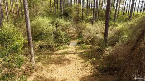 tbd Corley Rd, Walnut Hill, FL 32568 photo 12