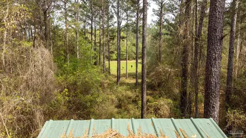 tbd Corley Rd, Walnut Hill, FL 32568 photo 16