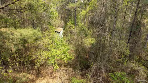 tbd Corley Rd, Walnut Hill, FL 32568 photo 15