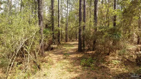 tbd Corley Rd, Walnut Hill, FL 32568 photo 9