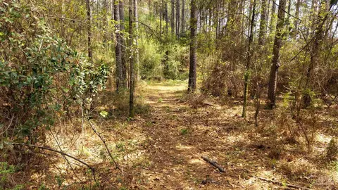 tbd Corley Rd, Walnut Hill, FL 32568 photo 11