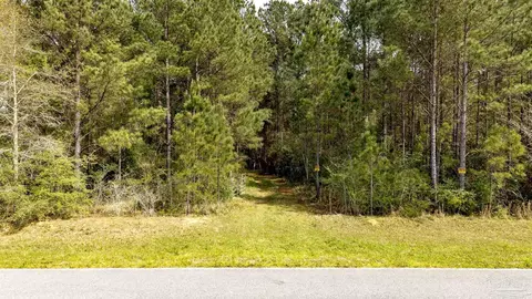 tbd Corley Rd, Walnut Hill, FL 32568 photo 7