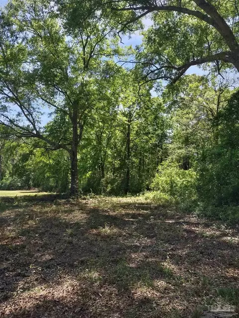 Other - 521 Cox Rd, Mcdavid, FL 32568 photo 8 of 12