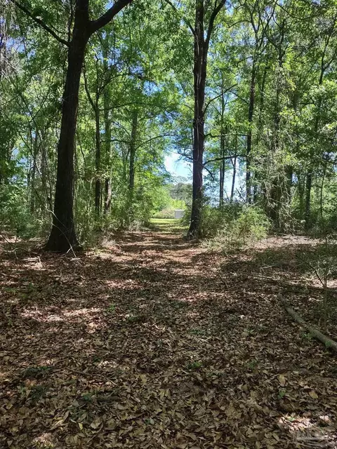 Other - 521 Cox Rd, Mcdavid, FL 32568 photo 9 of 12