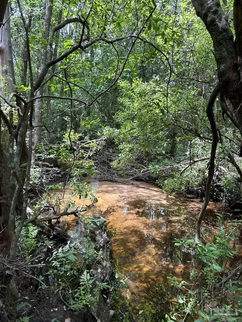 View/Area - 3600 Hwy 182, Jay, FL 32565 photo 1 of 1