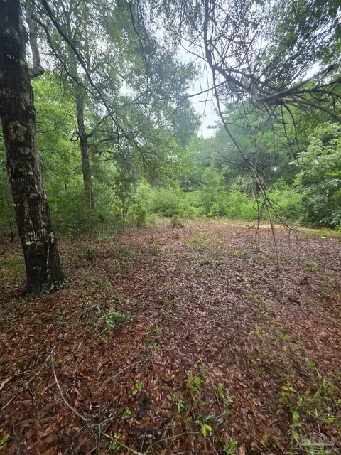 Pickens Cir, Baker, FL 32531 photo 3