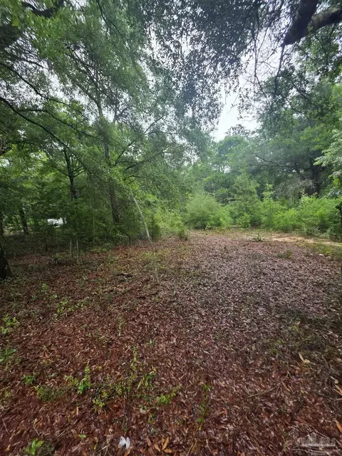 Pickens Cir, Baker, FL 32531 photo 6