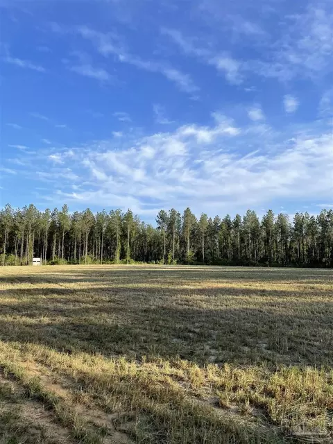 6950 Luth Rd, Molino, FL 32577