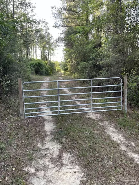 6950 Luth Rd, Molino, FL 32577 photo 7