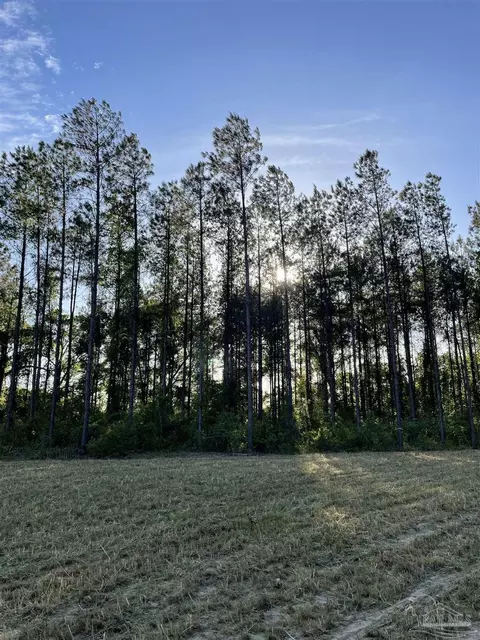 6950 Luth Rd, Molino, FL 32577 photo 9