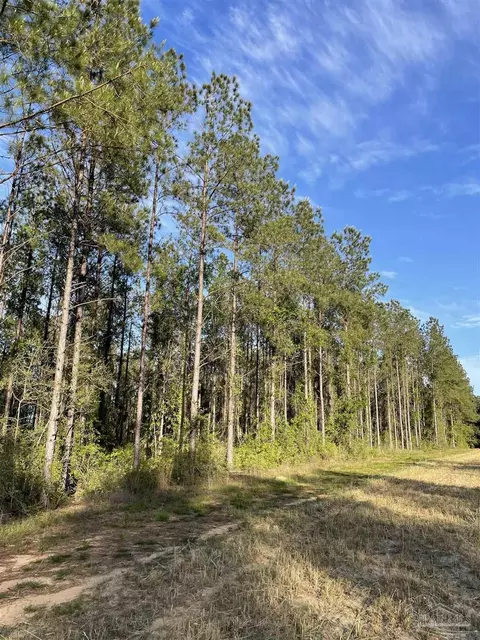 6950 Luth Rd, Molino, FL 32577 photo 10