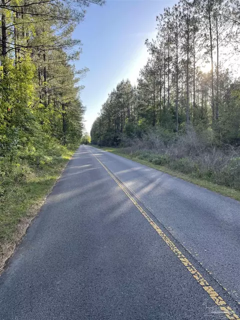 6950 Luth Rd, Molino, FL 32577 photo 5