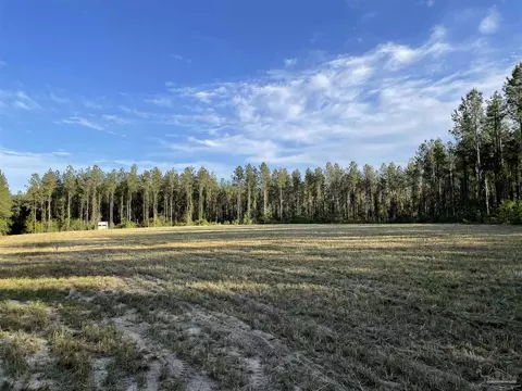 6950 Luth Rd, Molino, FL 32577 photo 11