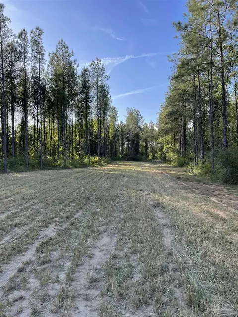 6950 Luth Rd, Molino, FL 32577 photo 12