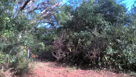 8731 Chisholm Rd, Pensacola, FL 32514
