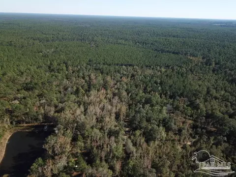 85 Acres Wiley Scott Rd, Jay, FL 32565