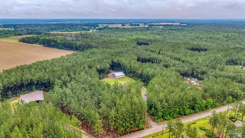View/Area - 1918 Pineview Church Rd, Jay, FL 32565 photo 3 of 3