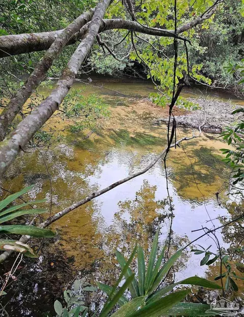 Colts Crossing Ln, Milton, FL 32570