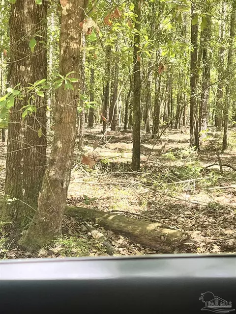 Colts Crossing Ln, Milton, FL 32570 photo 2
