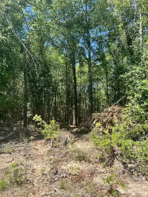 Colts Crossing Ln, Milton, FL 32570 photo 3
