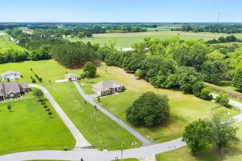 View/Area - 26064 Chatelaine Rd, Elberta, AL 36530 photo 3 of 8