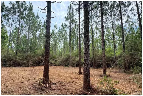 Parcel A Killian Dr, Milton, FL 32570 photo 13