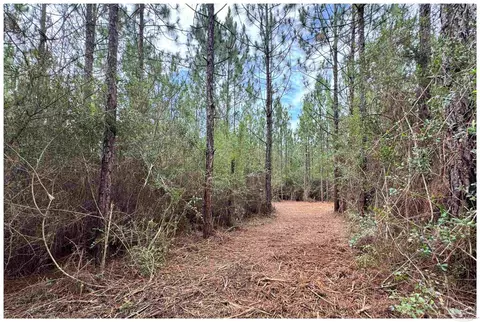 Parcel A Killian Dr, Milton, FL 32570 photo 8