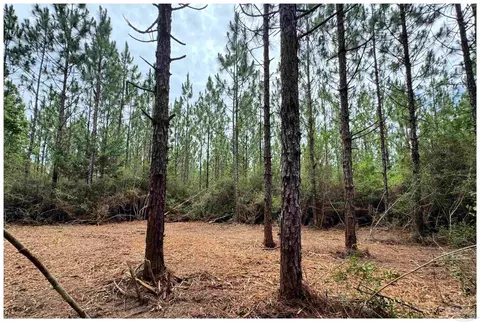 Parcel A Killian Dr, Milton, FL 32570 photo 12