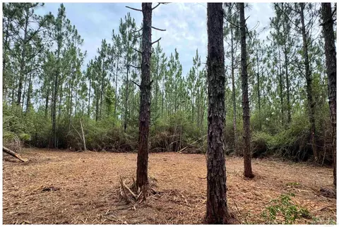 Parcel A Killian Dr, Milton, FL 32570 photo 10