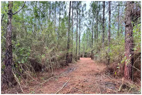 Parcel A Killian Dr, Milton, FL 32570 photo 6