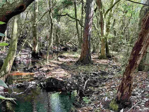 4753 Henry Wilson Creek Dri, Milton, FL 32583