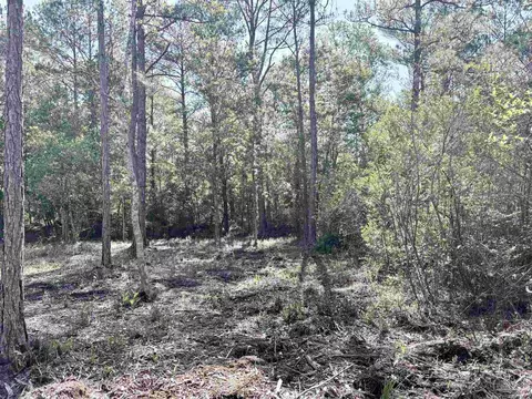 Del Monte St, Milton, FL 32583 photo 13