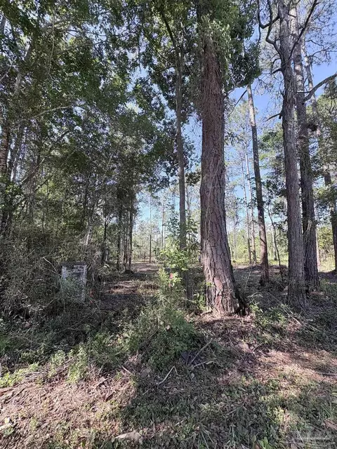 Del Monte St, Milton, FL 32583 photo 5