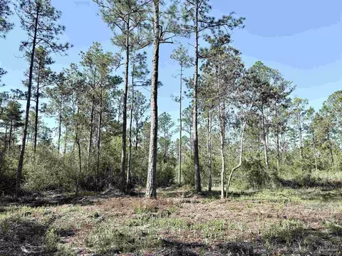 Del Monte St, Milton, FL 32583 photo 10