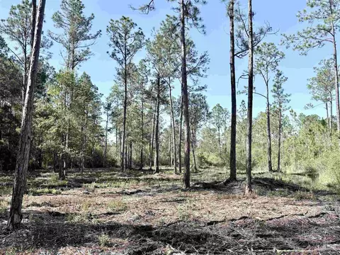 Del Monte St, Milton, FL 32583 photo 9