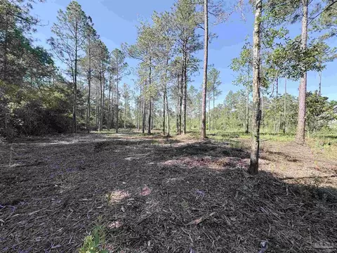 Del Monte St, Milton, FL 32583 photo 6