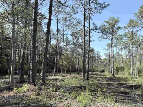 Del Monte St, Milton, FL 32583 photo 8