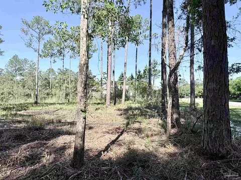 Del Monte St, Milton, FL 32583 photo 7