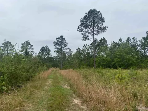 0 Walther Rd, Milton, FL 32570 photo 10