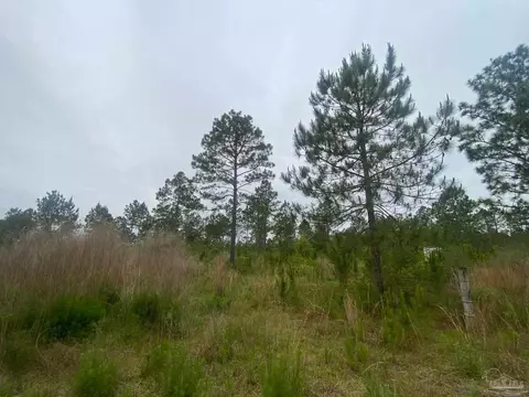 0 Walther Rd, Milton, FL 32570 photo 5