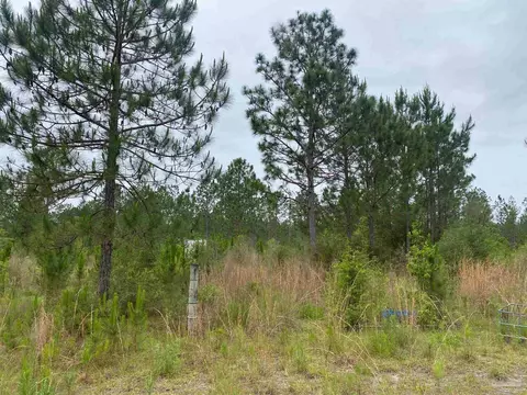 0 Walther Rd, Milton, FL 32570 photo 6